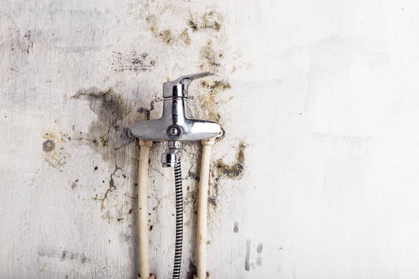 Best Mold Remediation for Specific Building Types in Sutter Creek, CA