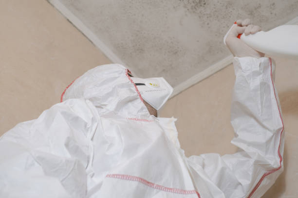 Best Emergency Mold Remediation in Sutter Creek, CA